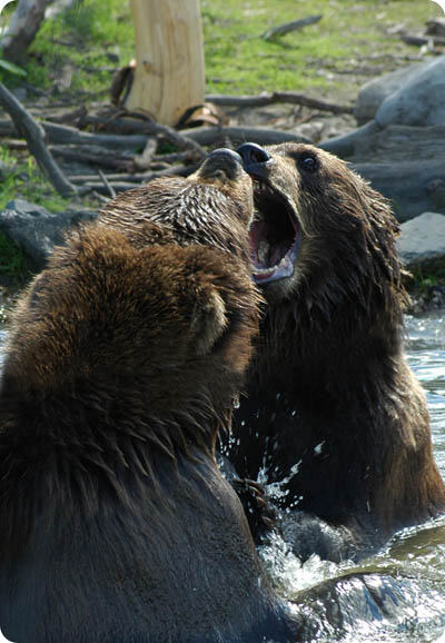 Talk to Us